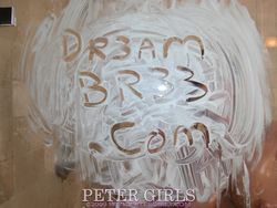 Bree Olson - Dirty Bree showers off!!! -f3srhjfsvc.jpg