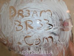 Bree Olson - Dirty Bree showers off!!! -33srhjgz4i.jpg